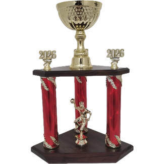 Skive Pokal Årstal (Håndbold)