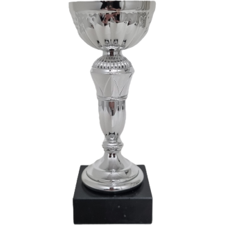 Werder Bremen Pokaler