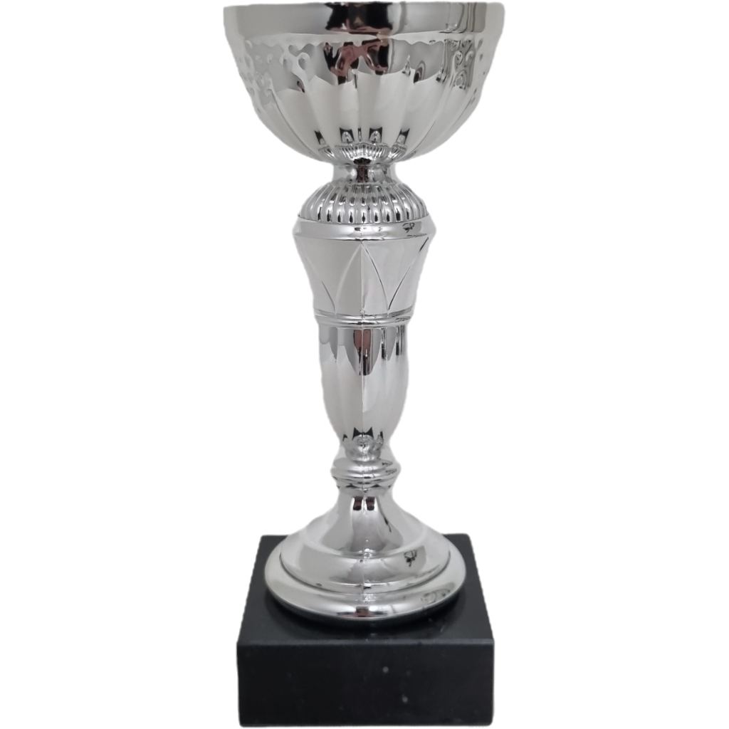 Werder Bremen Pokaler